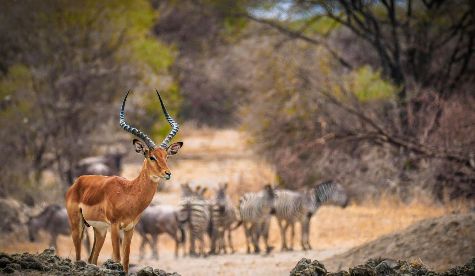 viaje seniors kenia safari nairobi lago